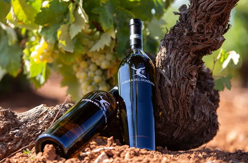 Rota do Vinho — Tierra de Barros